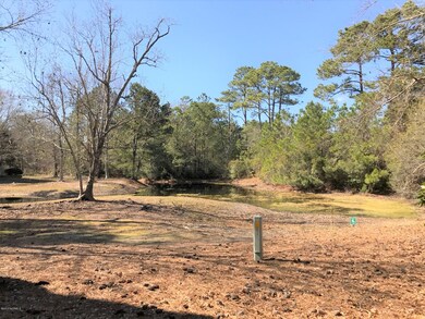 Pond in Back