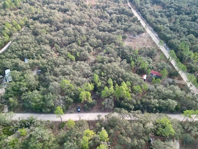 TBD NE 120th Ave, Bronson, FL 32621 - photo 2