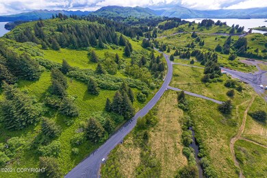 6103 Pinnacles Ct, Kodiak, AK 99615 - photo 4