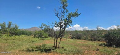 TBD E Beech Craft Blvd, Bisbee, AZ 85603 - photo 5