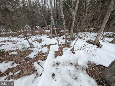 13804 Long Branch Rd, Woodford, VA 22580 - photo 4