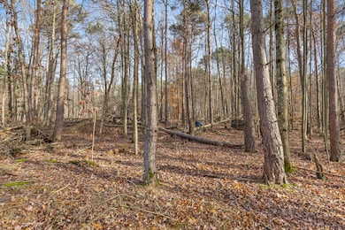 14944 Shaner Ave NE, Cedar Springs, MI 49319 - photo 6