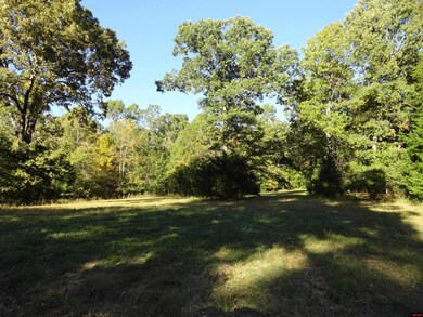 001-02056-001 Hand Cove Rd, Elizabeth, AR 72531 - photo 3