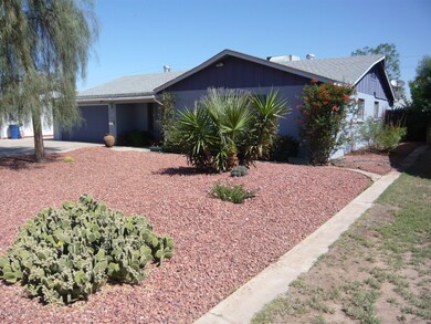 DESERT LANDSCAPING