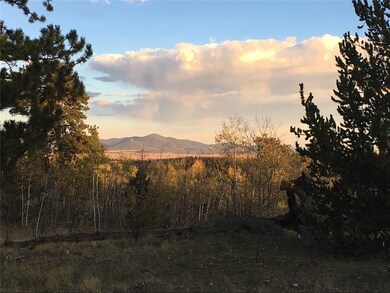 82 Rawhide Ct, Como, CO 80432 - photo 6