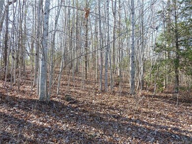 GENTLE LAND HOUSE SITE 1