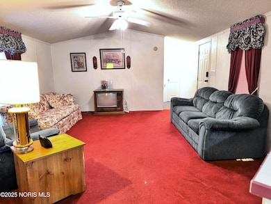 1285 N Shoop Ave, Wauseon, OH 43567 - photo 5