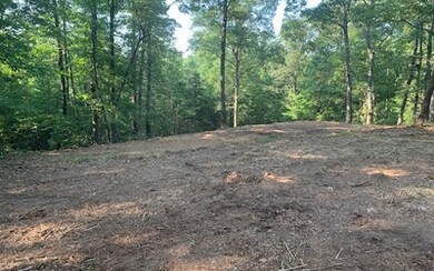 Additional View