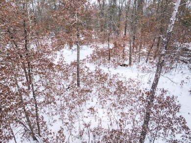 V/L W Bristol St, Webber Township, MI 49304 - photo 7