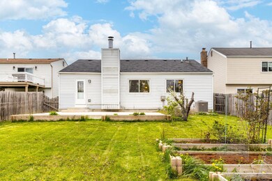 Back of house, garden boxes, patio