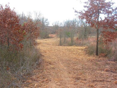 241 Perkins Rd, Poolville, TX 76487 - photo 2