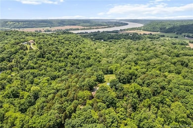 8701 E Splinter Ridge Rd, Madison, IN 47250 - photo 5