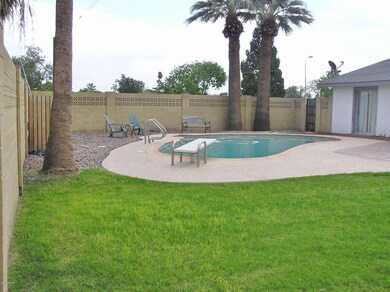 GRASSY AREA IN BACKYARD