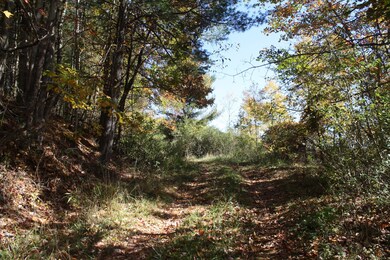 IMG_2587