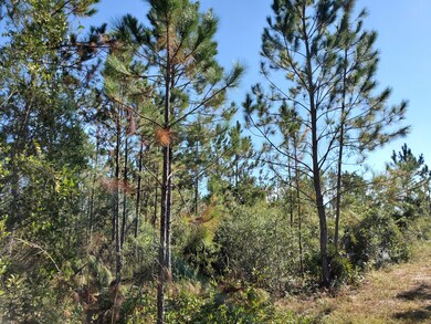 0 SW Prine Rd unit 20907962, Lee, FL 32059 - photo 3