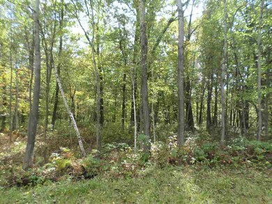 60 Ac 22nd St, Cutler, WI 54618 - photo 3