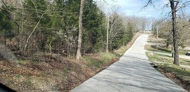 000 Hoot Owl Point, Ruth B Rural Township, MO 65686 - photo 2