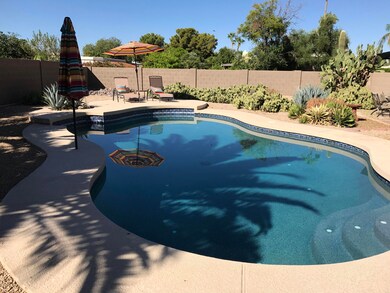 Backyard with Heated Pool