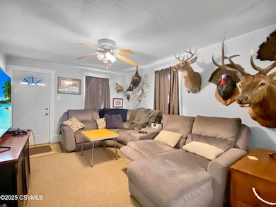 53 N Main St, Montgomery, PA 17752 - photo 5