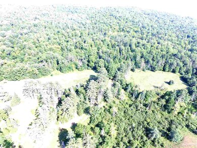 4031 Duck Pond Rd, Saint Johnsbury, VT 05819 - photo 5