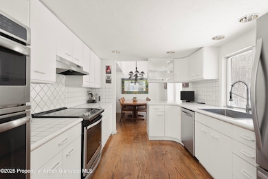 60 Northway Dr, Aspen, CO 81611 - photo 7