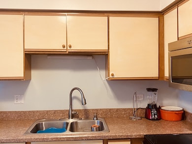 17963 Huntleigh Ct unit 203, Country Club Hills, IL 60478 - photo 5