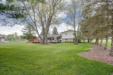 Rear Yard
