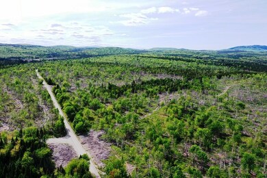 DJI_0465