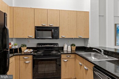 Watermill at Manayunk unit PH7, Philadelphia, PA 19127 - photo 4