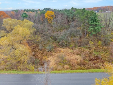 0 Seneca St, Trumansburg, NY 14886 - photo 4