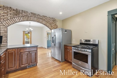 303 E Colfax St, Hastings, MI 49058 - photo 5