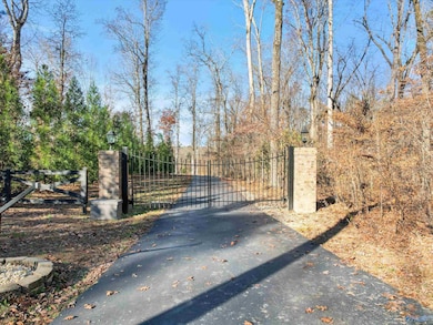 343 Mccutcheon Ln, Toney, AL 35773 - photo 4