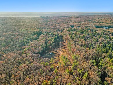 DJI_0020