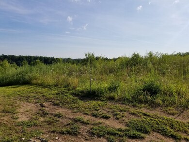 B 144th Ave, Wayland, MI 49348 - photo 3