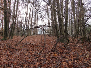 108 Bucco Reef Rd, Dubois, PA 15801 - photo 2