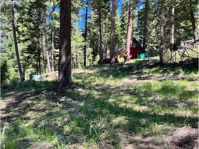 0 Forest Dell Ave unit 622201546, Wallowalake, OR 97846 - photo 4