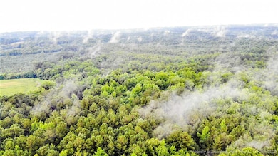 1896 & 0 Clark Rd, Lillington, NC 27546 - photo 5