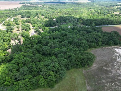 10961 Highway 97, Mc David, FL 32568 - photo 7