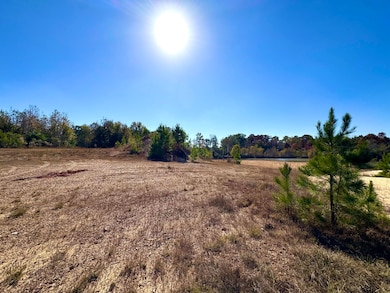 4134 Barton Ferry Rd, Columbus, MS 39705 - photo 5