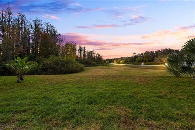 9917 Jasmine Brook Cir, Land O Lakes, FL 34638 - photo 3