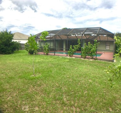 bakyard