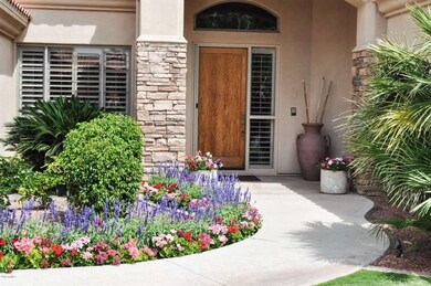 Colorful Spring Flowers