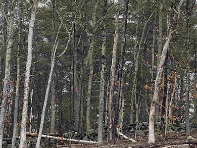 4 Chapin Rd, Windham, NH 03087 - photo 5