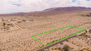 3112 Sullivan Rd, Twentynine Palms, CA 92277 - photo 7