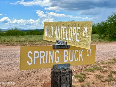 E Spring Buck Ct
