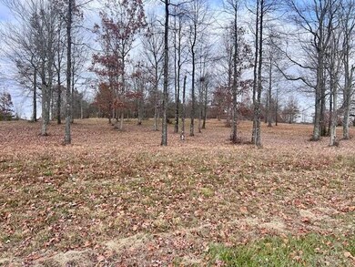 0 River Bluffs Dr unit 1524255, Jasper, TN 37347 - photo 4