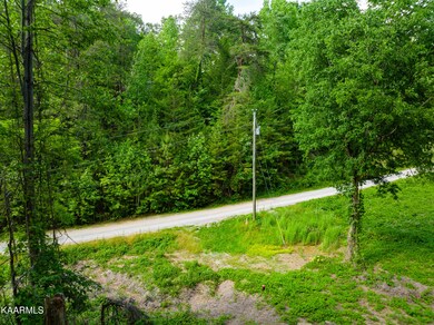 711 Bear Hollow Way-10