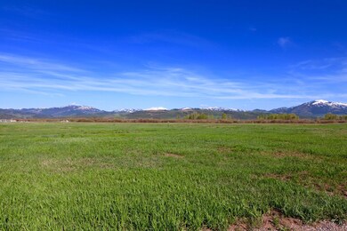 IMG_1567
