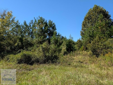 00 U S 301, Jesup, GA 31546 - photo 7