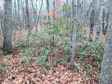 0 Axtell Rd unit 363502, Scottsville, VA 24590 - photo 5